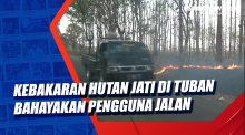 Kebakaran Hutan Jati di Tuban Bahayakan Pengguna Jalan