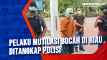 Pelaku Mutilasi Bocah di Riau Ditangkap Polisi