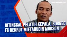 Ditinggal Pelatih Kepala, Borneo FC Rekrut Miftahudin Mukson