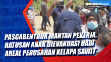 Pascabentrok Mantan Pekerja, Ratusan Anak Dievakuasi dari Areal Perusahan Kelapa Sawit di Kampar Riau