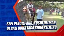 Sepi Penumpang, Kusir Delman di Bali Buka Jasa Kuda Keliling