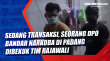 Sedang Transaksi, Seorang DPO Bandar Narkoba di Padang Dibekuk Tim Rajawali