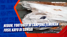 Heboh, Youtuber di Lampung Temukan Fosil Kayu di Sungai