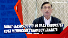 Luhut: Kasus Covid-19 di 43 Kabupaten Kota Meningkat Termasuk Jakarta