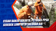 Cegah Banjir Jakarta, Petugas PPSU Gerebek Lumpur di Saluran Air