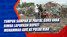 Tumpuk Sampah di Pantai, Suku Anak Rimba Laporkan Bupati Muhammad Adil ke Polda Riau