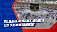 Mulai Hari Ini, Jamaah Indonesia Bisa Laksanakan Umrah