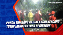 Pohon Tumbang Akibat Angin Kencang Tutup Jalur Pantura di Cirebon