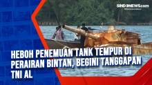 Heboh Penemuan Tank Tempur di Perairan Bintan, Begini Tanggapan TNI AL