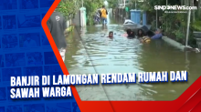 Banjir di Lamongan Rendam Rumah dan Sawah Warga