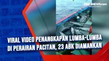 Viral Video Penangkapan Lumba-lumba di Perairan Pacitan, 23 ABK Diamankan