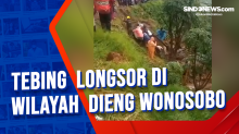 Tebing Longsor di Wilayah Dieng Wonosobo