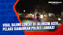 Viral Bajing Loncat di Jalinsum Aceh, Pelaku Diamankan Polres Langkat
