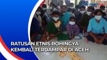 Ratusan Etnis Rohingya Kembali Terdampar di Aceh