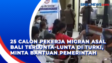 25 Calon Pekerja Migran asal Bali Terlunta-lunta di Turki, Minta Bantuan Pemerintah