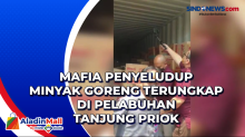 Mafia Penyelundup Minyak Goreng Terungkap di Pelabuhan Tanjung Priok