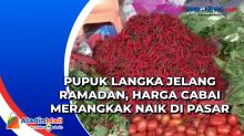 Pupuk Langka Jelang Ramadan, Harga Cabai Merangkak Naik di Pasar Balige