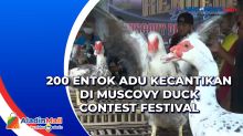 200 Entok Adu Kecantikan di Muscovy Duck Contest Festival