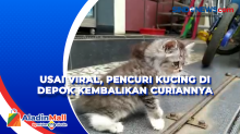 Usai Viral, Pencuri Kucing di Depok Kembalikan Curiannya