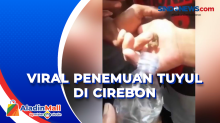 Viral Penemuan Tuyul di Cirebon