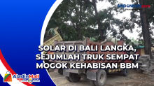 Solar di Bali Langka, Sejumlah Truk Sempat Mogok Kehabisan BBM