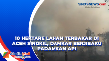 10 Hektare Lahan Terbakar di Aceh Singkil, Damkar Berjibaku Padamkan Api