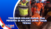 Tercebur Kolam Pupuk, Dua Pekerja di Malang Jawa Timur Tewas