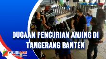 Dugaan Pencurian Anjing di Tangerang Banten