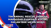 Tim Animal Rescue Damkar Makassar Evakuasi Kucing dalam Bak Mesin Mobil