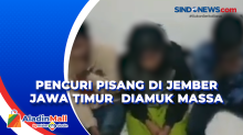 Pencuri Pisang di Jember Jawa Timur Diamuk Massa