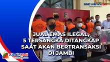 Jual Emas Ilegal, 5 Tersangka Ditangkap Saat Akan Bertransaksi di Jambi