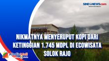 Nikmatnya Menyeruput Kopi dari Ketinggian 1.745 MDPL di Ecowisata Solok Rajo