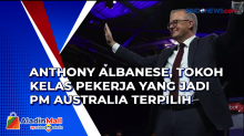 Anthony Albanese, Tokoh Kelas Pekerja yang Jadi PM Australia Terpilih