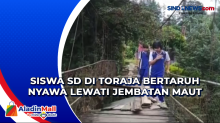 Siswa SD di Toraja Bertaruh Nyawa Lewati Jembatan Maut