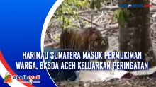 Harimau Sumatera Masuk Permukiman Warga, BKSDA Aceh Keluarkan Peringatan