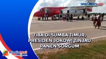 Tiba di Sumba Timur, Presiden Jokowi Tinjau Panen Sorgum