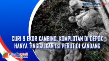 Curi 9 Ekor Kambing, Komplotan di Depok Hanya Tinggalkan Isi Perut di Kandang