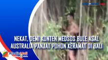 Nekat, Demi Konten Medsos Bule Asal Australia Panjat Pohon Keramat di Bali