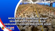 Modernisasi Kandang Ayam Seharga Rp2-4 Miliar, Bisa Hasilkan puluhan Ribu Ekor Ayam