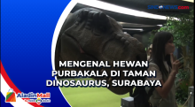 Mengenal Hewan Purbakala di Taman Dinosaurus, Surabaya