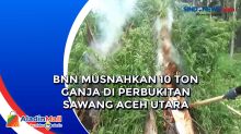 BNN Musnahkan 10 Ton Ganja di Perbukitan Sawang Aceh Utara