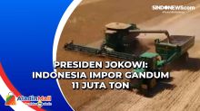 Presiden Jokowi: Indonesia Impor Gandum 11 Juta Ton