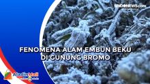 Fenomena Alam Embun Beku di Gunung Bromo