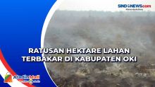 Ratusan Hektare Lahan Terbakar di Kabupaten OKI
