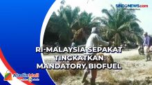 RI-Malaysia Sepakat Tingkatkan Mandatory Biofuel
