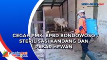 Cegah PMK, BPBD Bondowoso Sterilisasi Kandang dan Pasar Hewan
