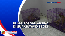 Rumah Jagal Anjing di Surabaya Disegel