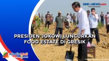Presiden Jokowi Luncurkan Food Estate di Gresik