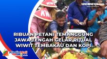 Ribuan Petani Temanggung Jawa Tengah Gelar Ritual Wiwit Tembakau dan Kopi
