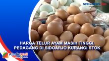 Harga Telur Ayam Masih Tinggi, Pedagang di Sidoarjo Kurangi Stok